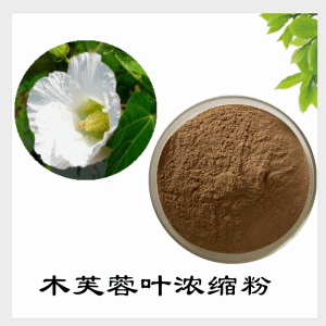 木芙蓉叶浓缩粉    木芙蓉叶粉  可定制    包邮