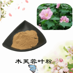 木芙蓉叶粉   木芙蓉叶提取物  可定制  水溶