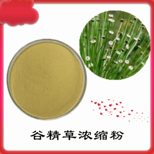 谷精草浓缩粉   谷精草粉  可定制    包邮