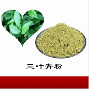 三叶青粉   三叶青提取物    可定制 水溶