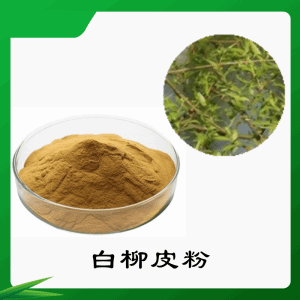 白柳皮粉    白柳皮提取物     可定制  水溶