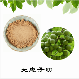 无患子粉     无患子提取物     可定制  水溶