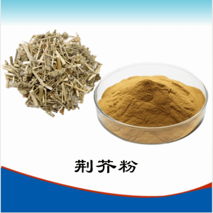 荆芥粉    荆芥提取物    可定制  水溶