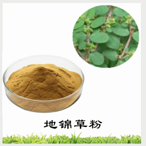 地锦草粉   地锦草提取物   可定制 水溶