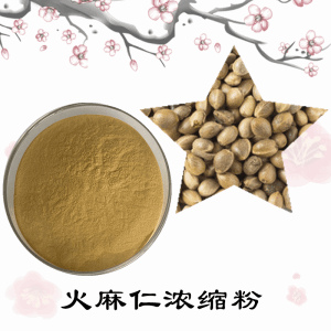 火麻仁浓缩粉    火麻仁粉   可定制   包邮