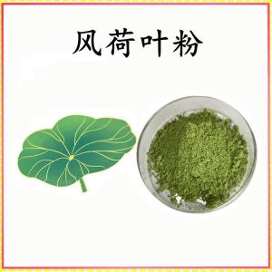 风荷叶粉 风荷叶提取物 可定制 水溶 包邮
