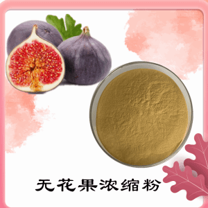 无花果浓缩粉    无花果粉    可定制  包邮