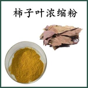 柿子叶浓缩粉 柿子叶粉  可定制 水溶 包邮