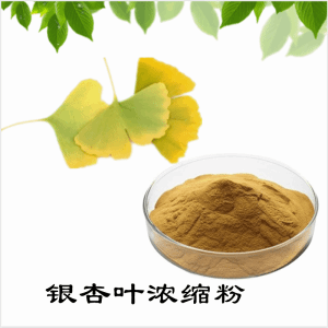 银杏叶浓缩粉   银杏叶粉   可定制  包邮
