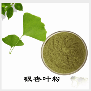 银杏叶粉  银杏叶提取物    可定制 水溶