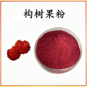 构树果粉 构树果提取物 可定制 水溶 包邮