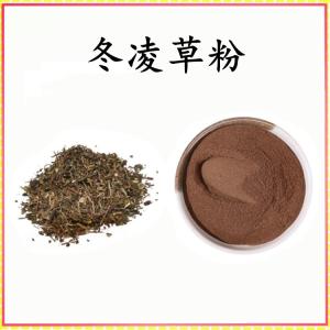 冬凌草粉 冬凌草提取物 可定制 水溶 包邮
