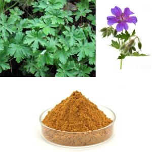 老鹳草粉 斯诺特水溶棕黄色提取粉