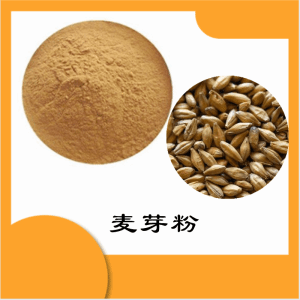 麦芽粉     麦芽提取物    可定制 水溶