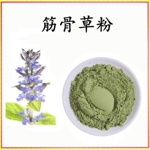 筋骨草粉 筋骨草提取物 可定制 水溶 包邮