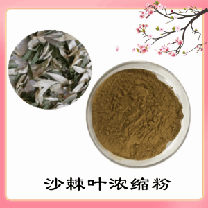 沙棘叶浓缩粉    沙棘叶粉    可定制  包邮