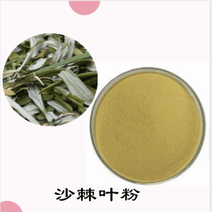沙棘叶粉    沙棘叶提取物      可定制 水溶