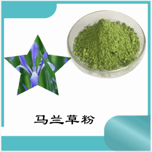 马兰草粉  马兰草提取物  可定制  水溶
