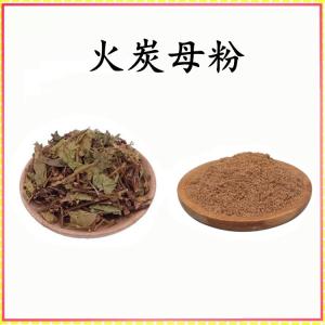 火炭母粉 火炭母提取物 可定制 水溶 包邮