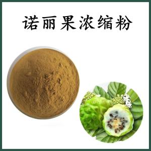 诺丽果浓缩粉 诺丽果粉 可定制 水溶 包邮