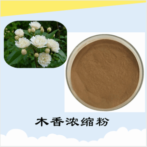 木香浓缩粉    木香粉   可定制  包邮