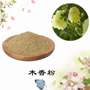 木香粉    木香提取物    可定制 水溶