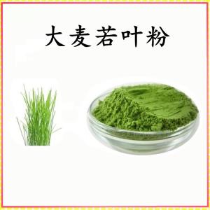 大麦若叶粉 大麦若叶提取物 可定制 水溶 包邮