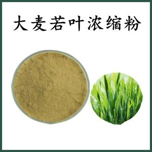 大麦若叶浓缩粉 大麦若叶粉 可定制 水溶 包邮