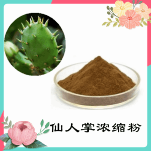 仙人掌浓缩粉   仙人掌粉   可定制 包邮