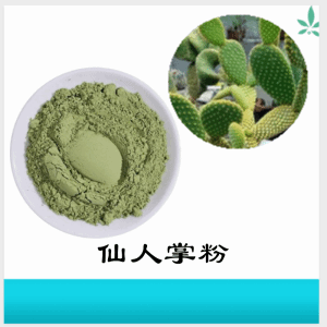 仙人掌粉    仙人掌提取物     可定制  水溶