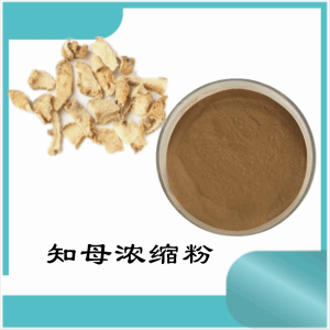 知母浓缩粉    知母粉  可定制  水溶
