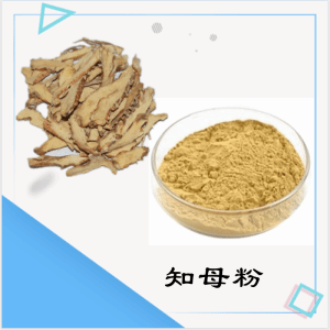知母粉   知母提取物   可定制  水溶 包邮
