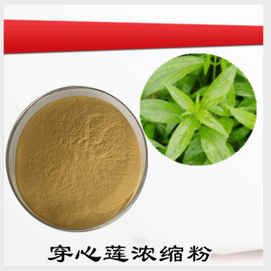 穿心莲浓缩粉    穿心莲粉    可定制  包邮