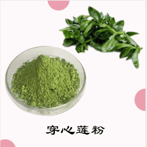 穿心莲粉   穿心莲提取物    可定制 水溶