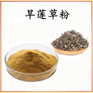 旱莲草粉 旱莲草提取物 水溶 可定制 包邮
