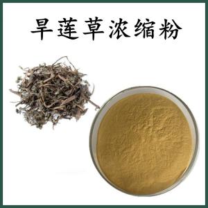 旱莲草浓缩粉 旱莲草粉 可定制 水溶 包邮