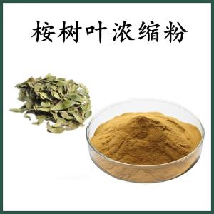 桉树叶浓缩粉 桉树叶粉 可定制 水溶 包邮