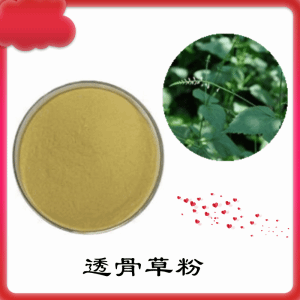 透骨草粉  透骨草提取物  可定制 水溶
