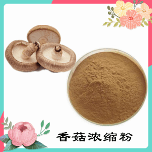 香菇浓缩粉    香菇粉    可定制  包邮