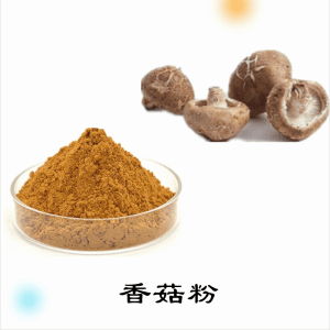 香菇粉   香菇提取物     可定制 水溶