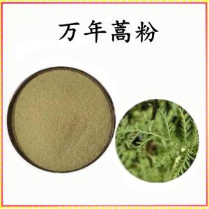 万年蒿粉 万年蒿提取物 可定制 水溶 包邮
