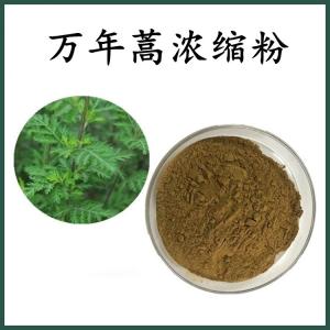 万年蒿浓缩粉 万年蒿粉 可定制 水溶 包邮