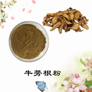 牛蒡根粉    牛蒡根提取物  可定制 水溶  包邮