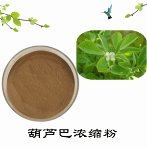 葫芦巴浓缩粉   葫芦巴粉  可定制  水溶