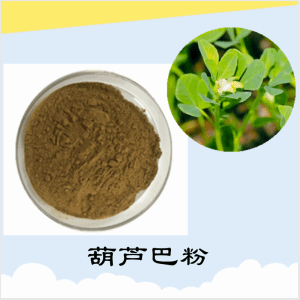 葫芦巴粉   葫芦巴提取物   可定制  包邮  水溶