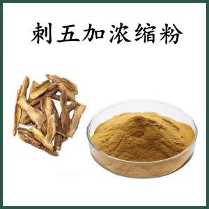 刺五加浓缩粉 刺五加粉 可定制 水溶 包邮
