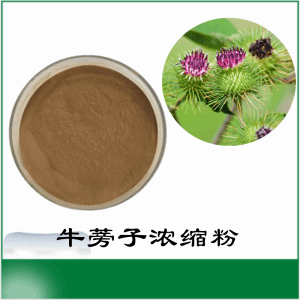 牛蒡子浓缩粉   牛蒡子粉   可定制   包邮