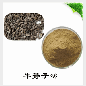 牛蒡子粉   牛蒡子提取物  可定制 水溶