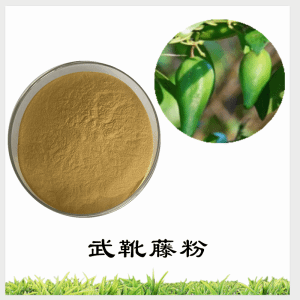 武靴藤粉  武靴藤提取物     可定制 水溶