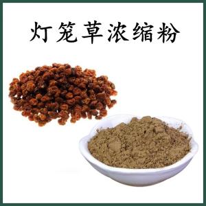 灯笼草浓缩粉 灯笼草粉 可定制 水溶 包邮
